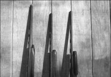 Benelli SBE II Is Our Pick Over Beretta, Remington Autoloaders