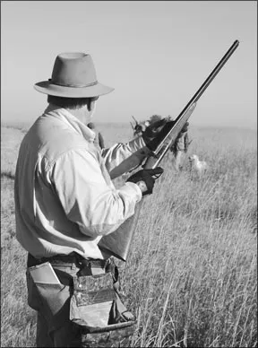 Smith & Wesson Shotguns