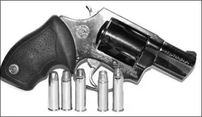 Flat-Nose Bullets