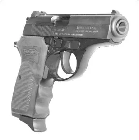 Bersa FireStorm