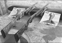 Turkey 12s: Browning BPS Pump Vs. Remingtons 11-87 Auto