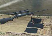 243 Win. Bolt-Action Rifles Under $500: Ruger Vs Mossberg