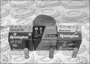 20-Gauge Semiautos