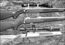 Bolt-Action .223 Alternatives: Savage 16FSS Earns an A-Plus