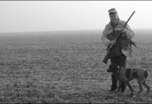 20-Gauge Auto Shoot-out: Beretta, Browning, Remington