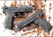 22 LR Semiautos: Walthers P22 Versus the Similar Ruger SR22