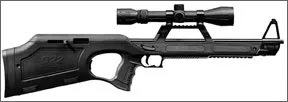 Walther G22