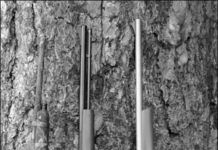 Tricky Trio of 22 Autoloaders: Marlin Tops Remington, Ruger