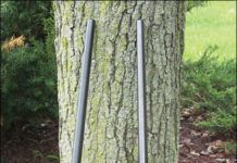 Head-to-Head Shootout: Bolt Rifles from Savage and Marlin