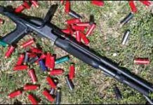 Replacement Stocks: Phoenix Noses out Knoxx, Four Others