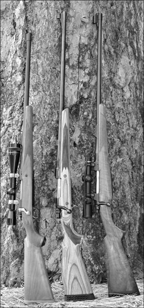 0607_lede-3-rifles-DSC_9230-1.jpg