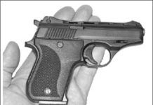 Three .22 Autos for the Trail: Phoenixs HP22A Earns an A+