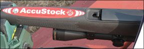 Savage Arms AccuStock 