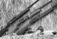 Weatherbys SAS Field Kicks Grass in Duck-Blind Showdown