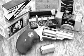 .22 Magnum