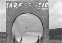 Used Shotguns: Which Pumps Should You Buy? – And Avoid?