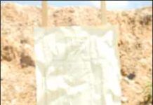 Options for Concealed Carry: Two Nines Vs. a Forty Wheelgun