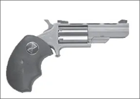 Pocketable .22 Magnums
