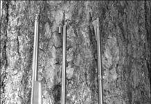 Dangerous-Game Rifles: When Only the Best Firearm Will Do