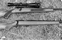 Medium-Price .22 Bolt Rifles: We Pick CZ Over Remington