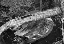 Winchester Super X3 Posts Narrow Win Over Benellis M2