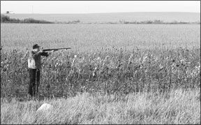 The Browning BPS 20 Gauge