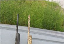 Super-Auto Shootout: Benellis SBE II Versus Browning Maxus