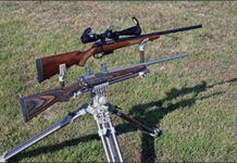 17 Hornet Bolt Rifles: CZ-USAs 527 Varmint vs. Rugers 77/17