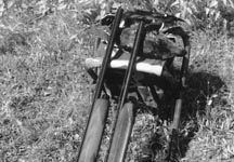 20-Gauge Autos: Browning Gold, Beretta AL390 Run Dead Heat