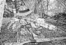 12-Gauge Turkey Hunting Shotguns: H&K Versus Fausti Traditions