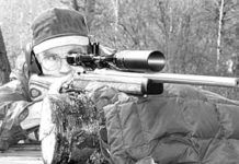 Varmint Cartridges: The .22-250 Still Reigns; Rugers .204 Is Hot