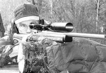 Varmint Cartridges: The .22-250 Still Reigns; Rugers .204 Is Hot
