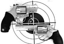 Small-Frame .17 HMR Revolvers: Two Guns We Can Live Without