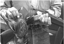 28-Gauge O/U Shotguns: Cynergy Versus Silver Pigeon II