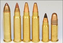 17 HMR Bolt-Action Rifles: Browning and Ruger Square Off