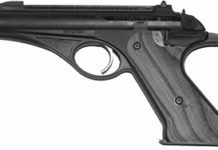 A Brace of Full-Size .22 Autos: We Would Buy The Wolverine