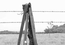 .50-Caliber Muzzleloaders: The T/C Hawken Beats Lymans GP