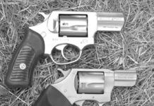 Three Stainless Snubbies: Wed Pass On Charters Undercover