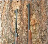 Two 375 H&H Magnum Rifles: Winchester Versus Remington