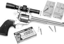 Toss-up: DA Taurus Raging Hornet Vs. SA Magnum Research BFR