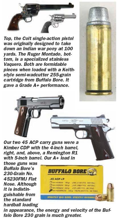 Is the 45 Caliber Really That Good? - Spring Guns & Ammo