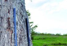 28-Gauge Semiautomatics: Benelli UL Outduels the 1100