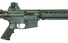 Smith & Wesson M&P 15-22 22 LR
