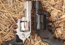 We Have Judged the Governor