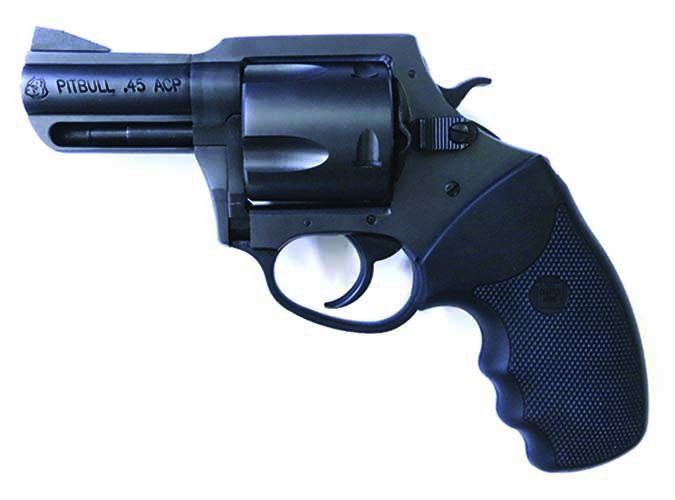 Charter Arms Pitbull Model 64520 45 ACP