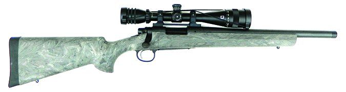 Remington 700 SPS 85538 308 Winchester