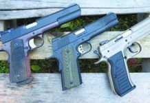 Three More 10mm Autos: Kimber, Dan Wesson, Tanfoglio