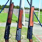 Brownings Sweet Sixteen: Still Sweet After All These Years?