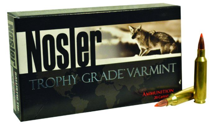 nosler trophy grade varmint