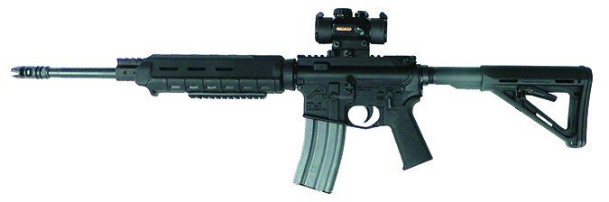 home-built AR-15 $600